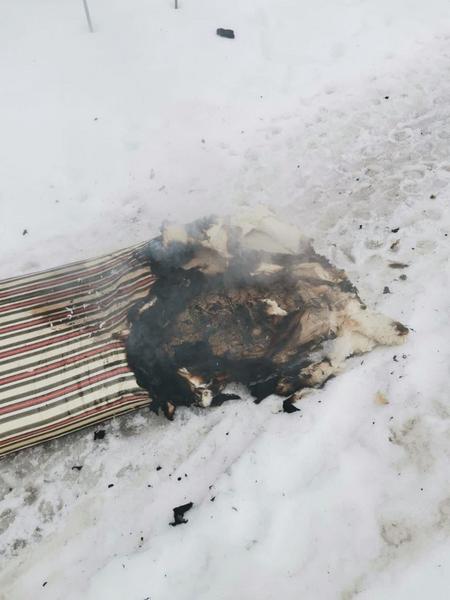 Казанские пожарные спасли двух человек  из горящего дома