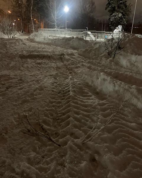 Казанцы встали на защиту «зеленой» зоны в парке в парке Урицкого