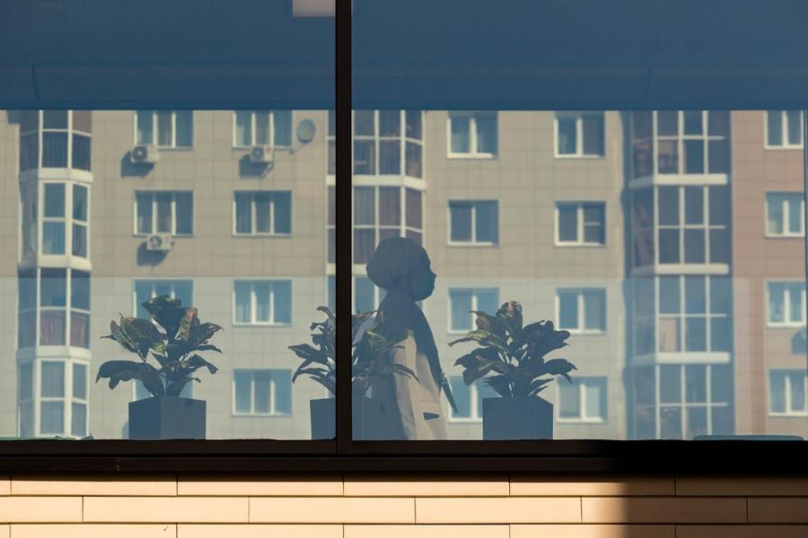 Садоводам: как правильно выращивать рассаду на подоконнике