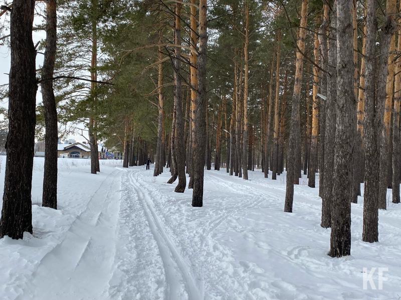 Команда Фишман-Бекмамбетовой показала, как измениться челнинский парк «Прибрежный» в ближайшее время
