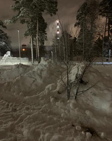 Казанцы встали на защиту «зеленой» зоны в парке в парке Урицкого