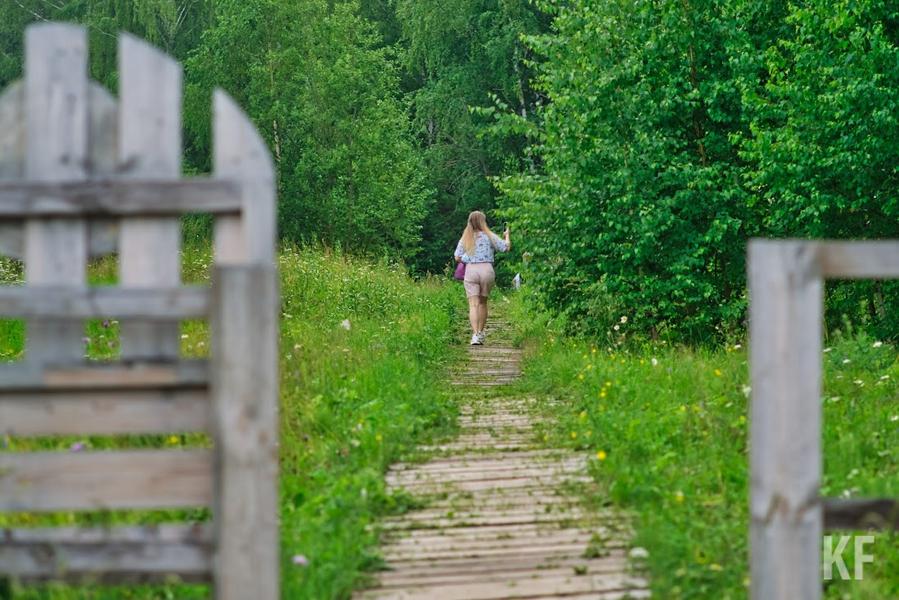 «Прощай, дикий тихий лес»: что угрожает лесным зонам Татарстана