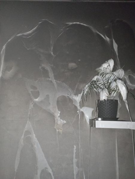 В нижнекамской квартире готовка обернулась пожаром