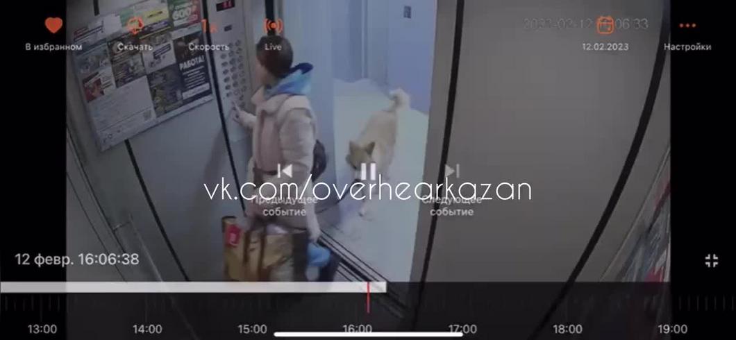 Девушка с собакой едва не погибли в казанском лифте на Гареева