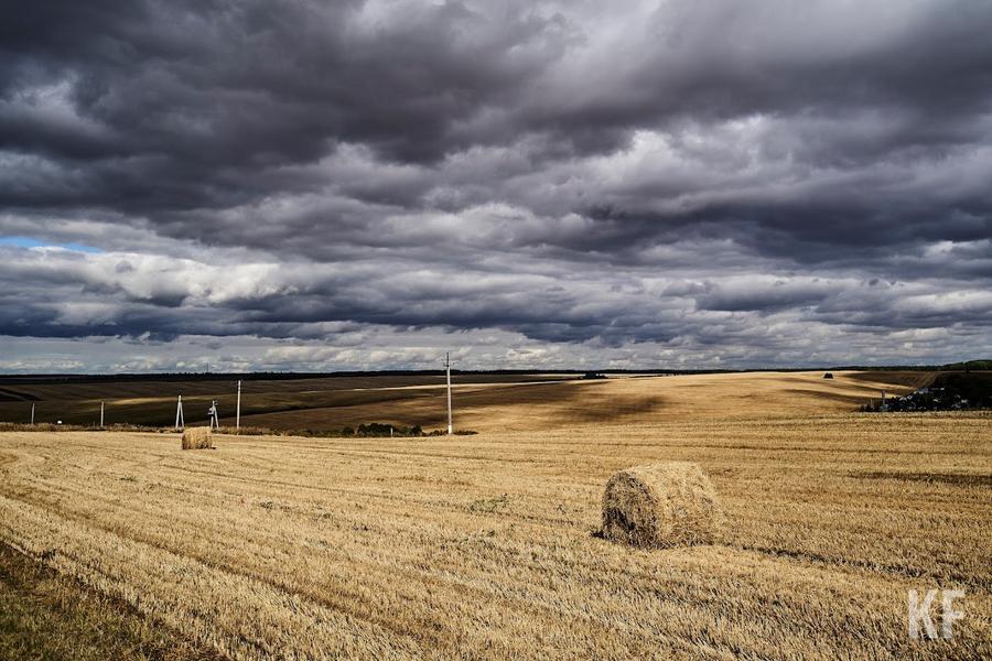 Реанимация для жилого фонда: в Елабуге подвели итоги 2022 года