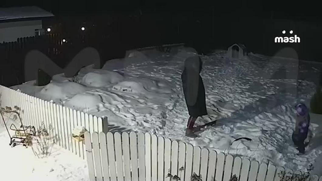 На внучку бывшего премьер-министра Абхазии напал пёс бойцовской породы