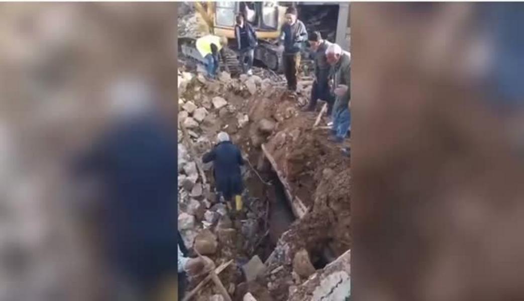 В Турции из-под завалов вытащили лошадь спустя 21 день после землетрясения