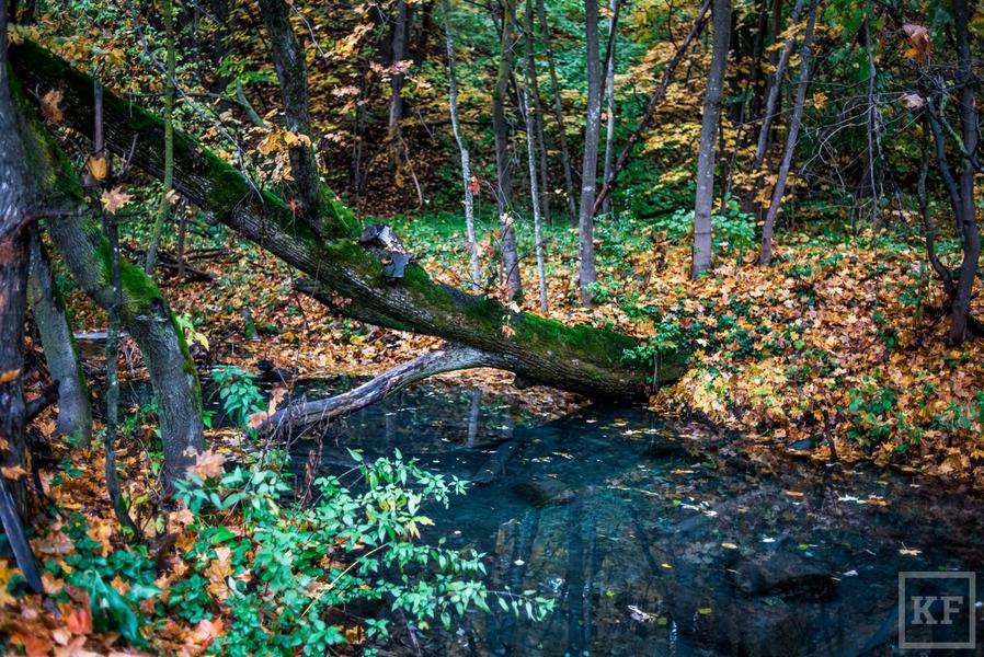 Голубое озеро под Казанью превращается в свалку — кругом мусор, поваленные деревья, сломанные мостки: «Водоем разрушает неправильное благоустройство»