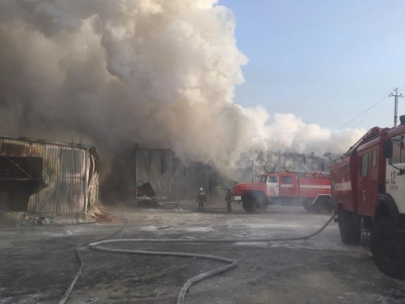 Во время пожара на обувной фабрике под Новосибирском погибли десять человек