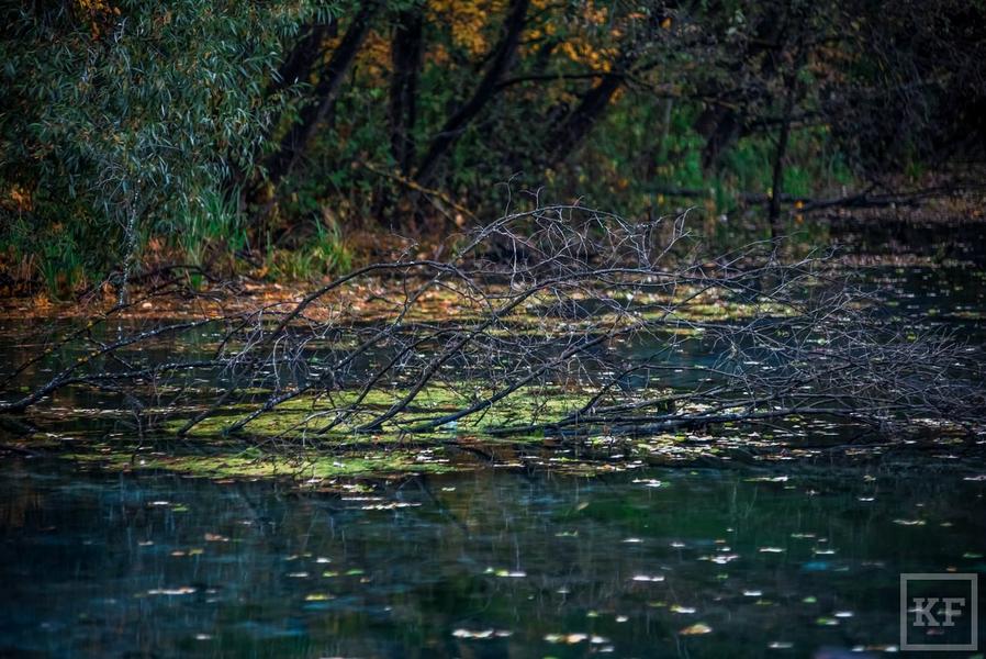 Голубое озеро под Казанью превращается в свалку — кругом мусор, поваленные деревья, сломанные мостки: «Водоем разрушает неправильное благоустройство»