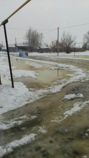 ​Бобры спровоцировали потоп в татарстанской деревне