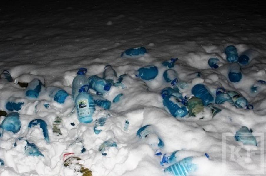 В Татарстане неизвестные выбросили на трассе 200 бутылок «незамерзайки»