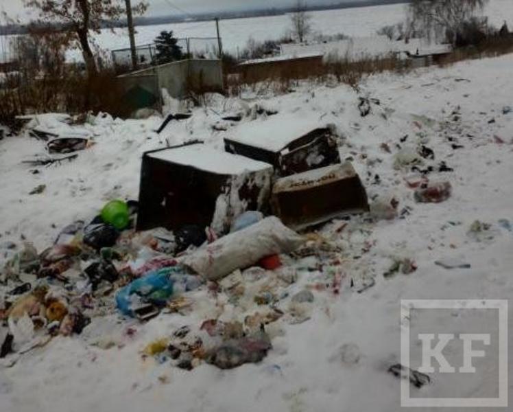 ​На улице Гуськова в Чистополе разрослась свалка мусора