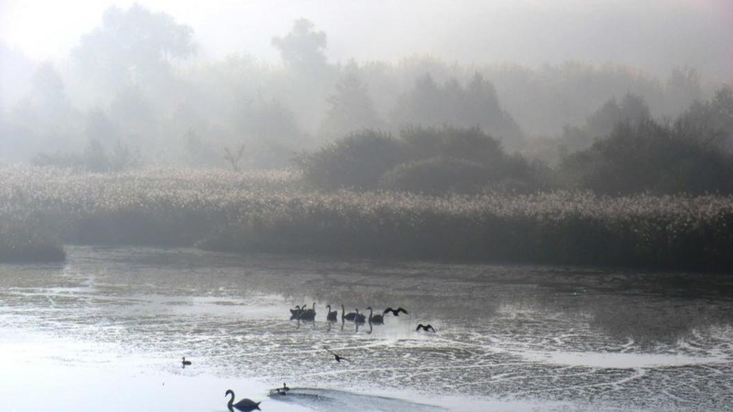 Лебяжьи озера в Тукаевском районе предложено признать памятником природы