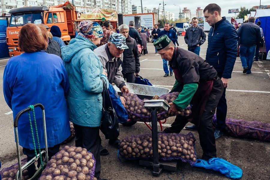 Экономика Татарстана рискует обрушиться из-за снижения цен
