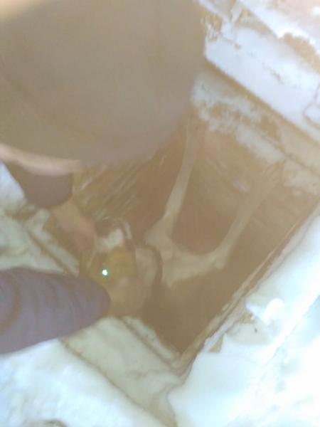 В Татарстане спасли провалившуюся в погреб собаку