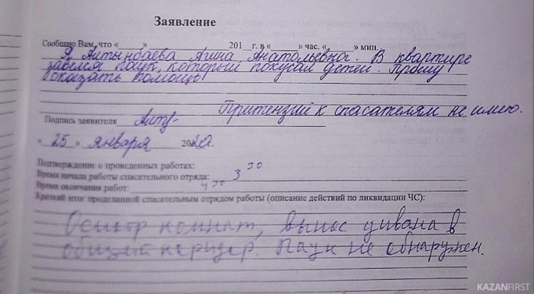 В МЧС Татарстана ответили Агине Алтынбаевой, раскритиковавшей спасателей за поиски паука