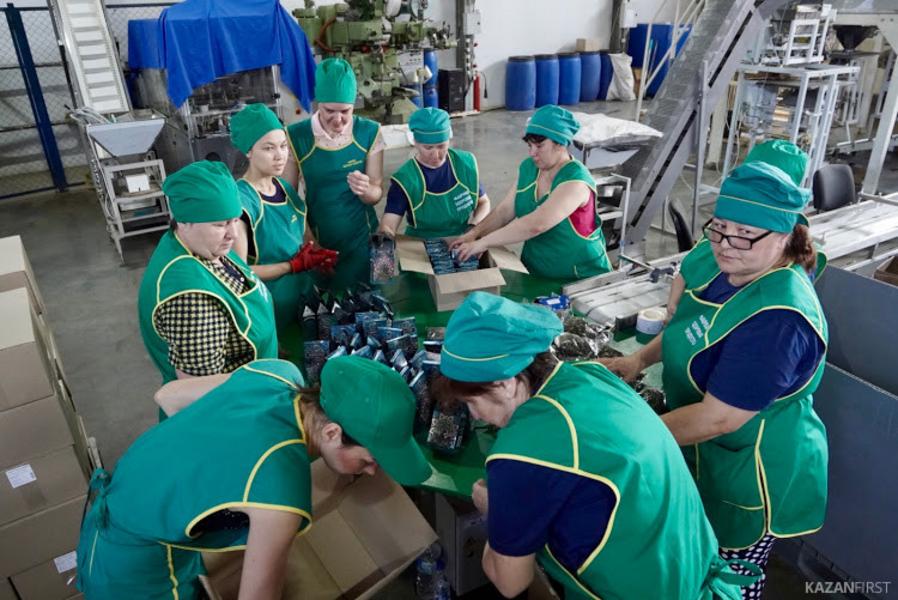 Фарид Абдулганиев: Проекты, реализуемые ТОСЭР, позволят вывести локальных производителей на международные рынки