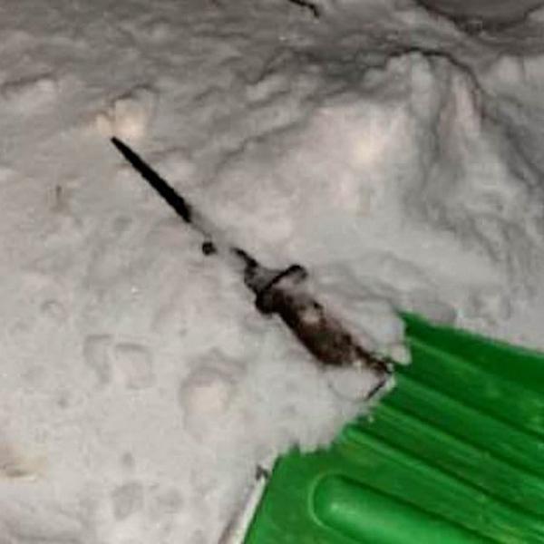 Подростки, убившие семью из трех человек, признали вину