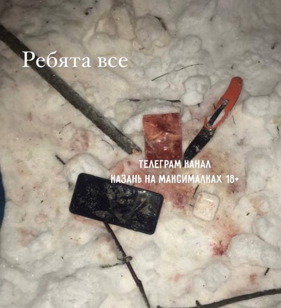 Обнаруженные лыжником вблизи Кадышево останки могут принадлежать жителю Казани Дмитрию Кузьмичеву