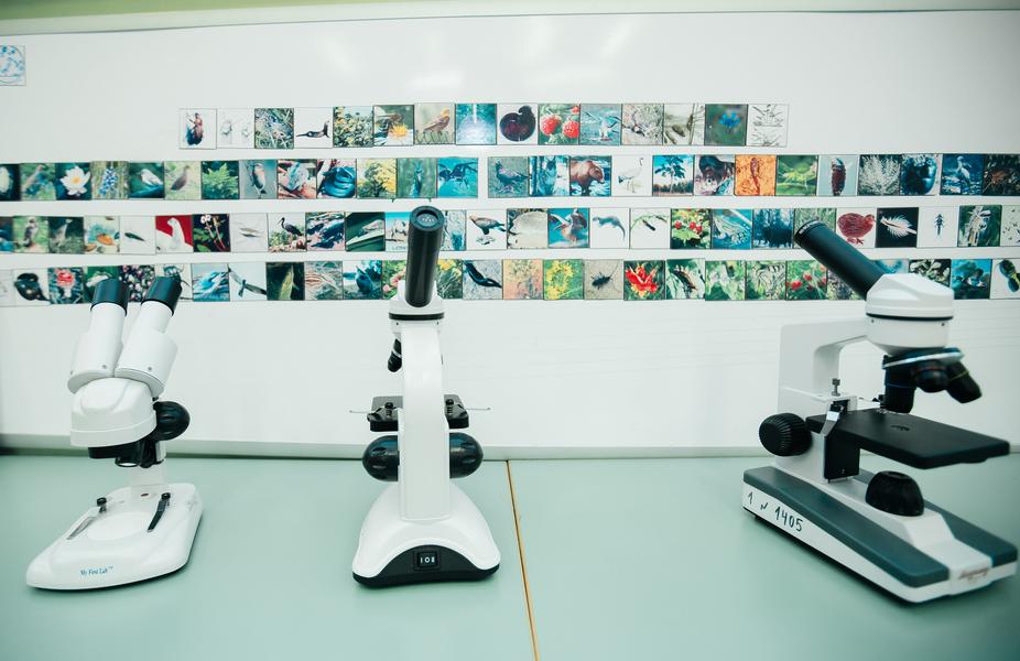 СИБУР поддержал грантами нижнекамское школьное лесничество