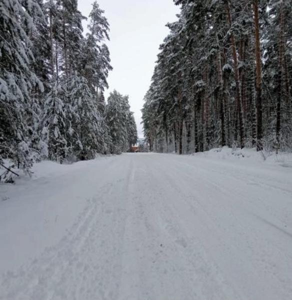 Занесенная снегом, лишенная автобуса Тарловка
