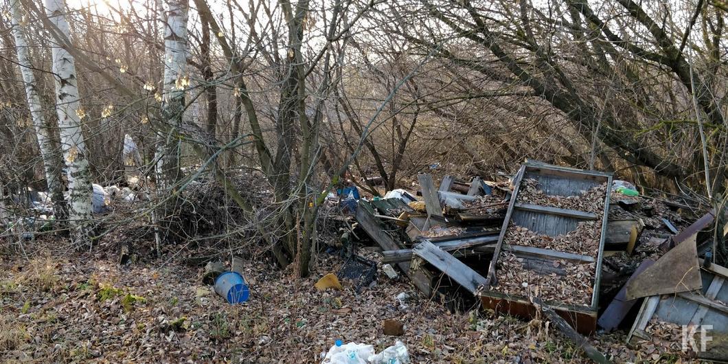 «Интересующихся судьбой Ноксы мало»