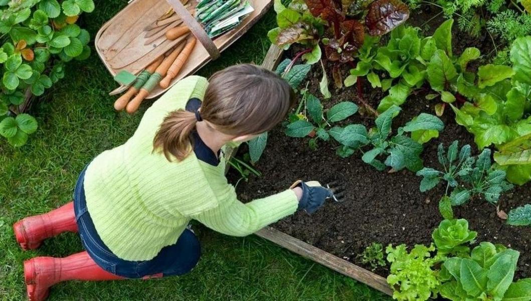 Агроконсультанты изменят философию садоводства