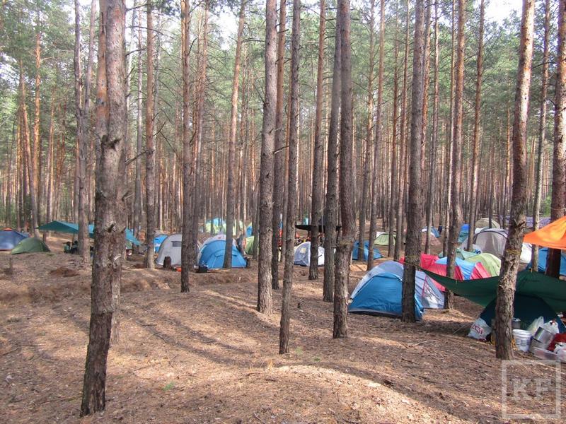 В Татарстане появился ещё один естественный лес