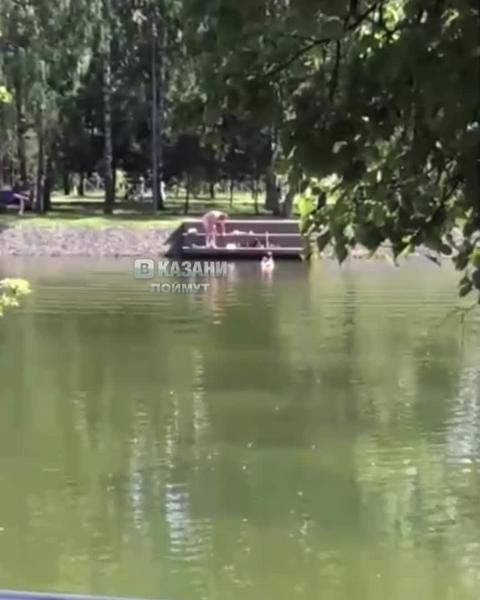 В Казани раздевшиеся догола мужчины искупались в пруду