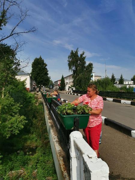 Вандалы уничтожили высаженные в Елабуге цветы – их завалили поваренной солью Вандалы уничтожили высаженные в Елабуге цветы – их завалили поваренной солью