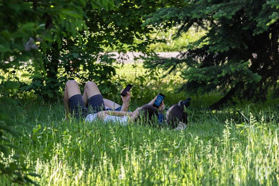 Наше общество - это больница, где много больных, но нет нужных врачей Наше общество - это больница, где много больных, но нет нужных врачей