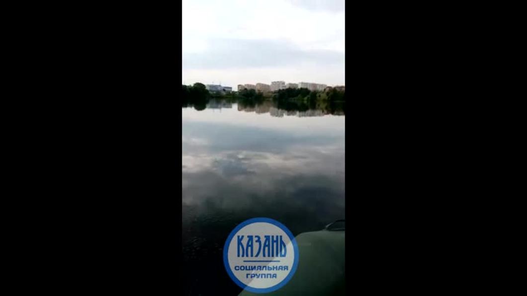 В озере в Осиново под Казанью рыбак выловил пиранью