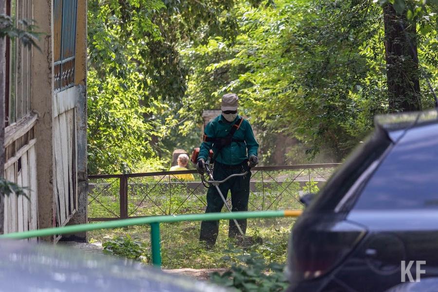 Татарстан выделит 50 миллионов рублей на премии общественным борцам с нарушителями