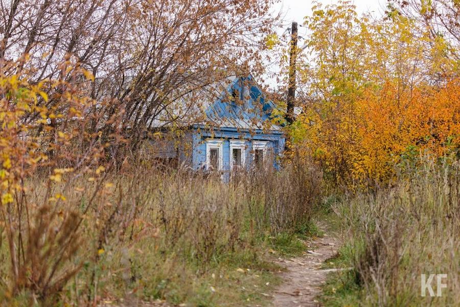 Пандемия увеличила спрос на дачи Пандемия увеличила спрос на дачи