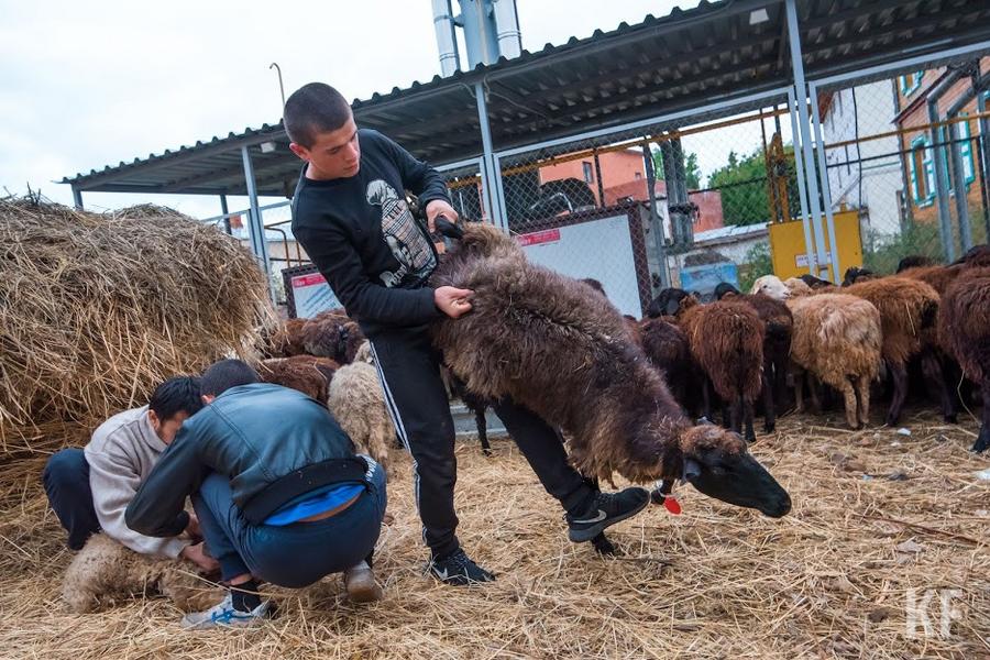 Курбан-байрам-2020: социальная дистанция, маски и перчатки