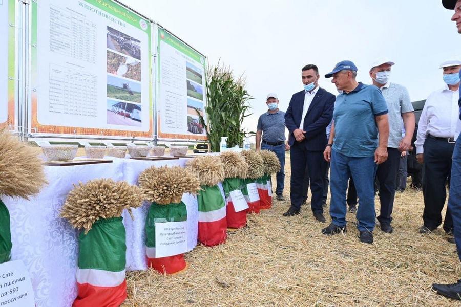 Минниханов: ​Главное сейчас - сохранение поголовья, в том числе через поддержку личных подворий