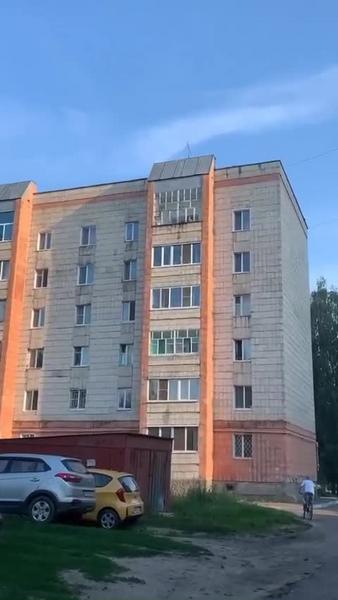 Неравнодушные зеленодольцы ищут хозяина брошенному на балконе коту