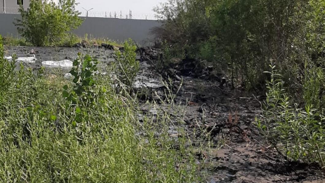 Казанцы пожаловались экологам на свалку более 200 квадратных метров Казанцы пожаловались экологам на свалку более 200 квадратных метров