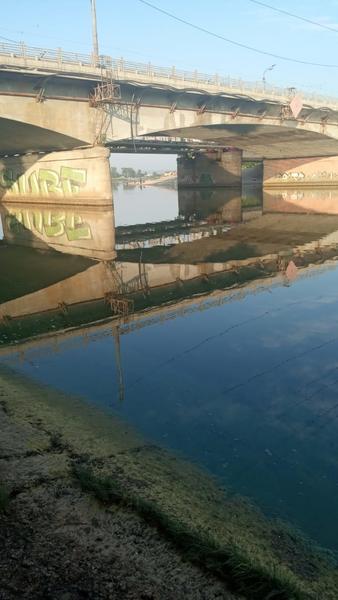 В Казанке нашли тело мужчины В Казанке нашли тело мужчины