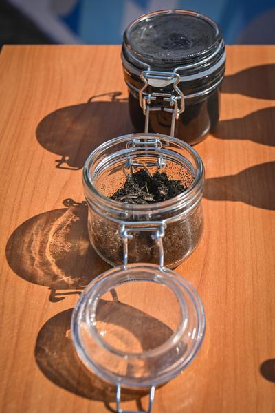 Глава Росприроднадзора поддержала проект рекультивации иловых полей в Казани