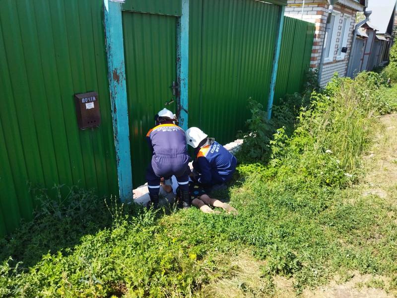 Спасатели вызволили из-под ворот застрявшую жительницу Буинска
