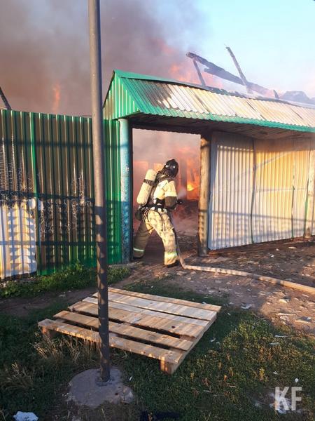 Спасены семь человек во время пожара в Кукморском районе