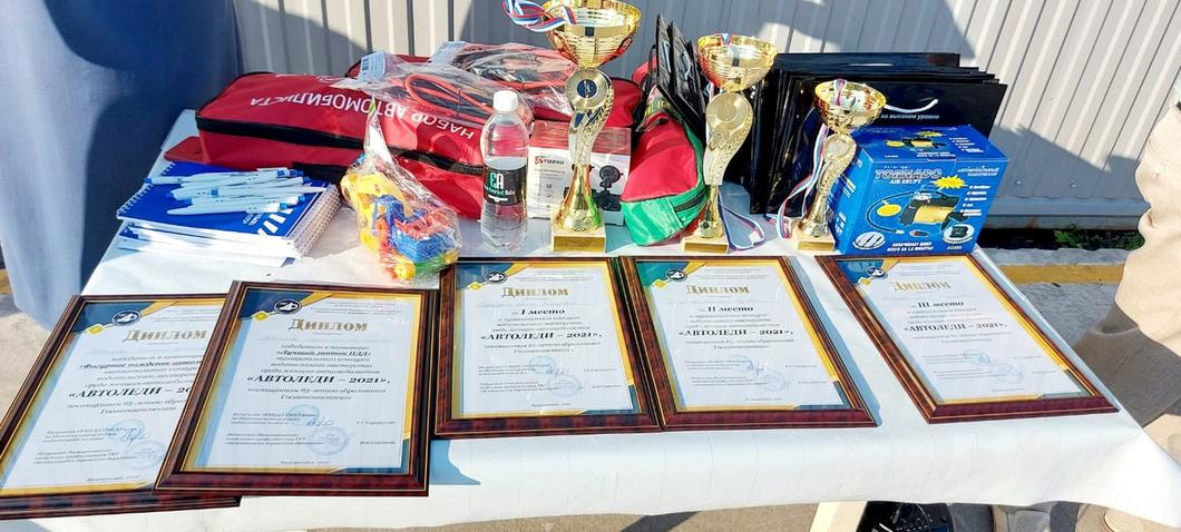 Титул «Автоледи» в Нижнекамске получила работница такси с 16-летним стажем вождения