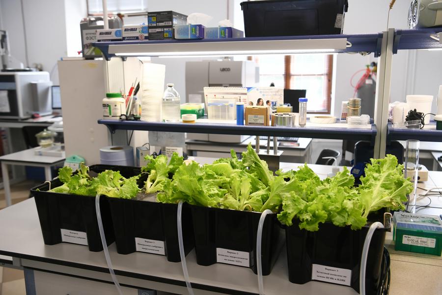 Рустаму Минниханову представили проекты научных центров КФУ