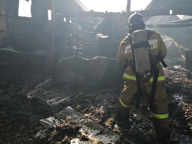 В Татарстане дотла сгорела животноводческая ферма: работники успели спасти 100 голов КРС