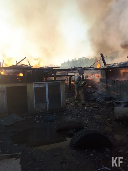 Спасены семь человек во время пожара в Кукморском районе