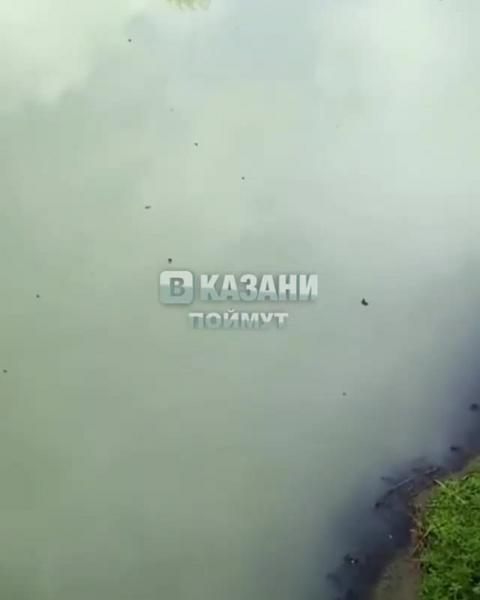 Молококомбинату «Арча» грозит штраф на 80 тысяч рублей за сливы в реку Шошма