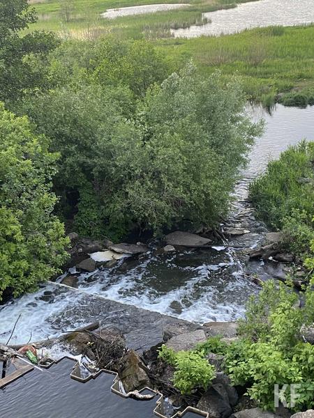 ЛОСы, дно Мелекески и «Прибрежный»: в исполкоме Челнов отчитались о природоохранных мероприятиях и их результатах