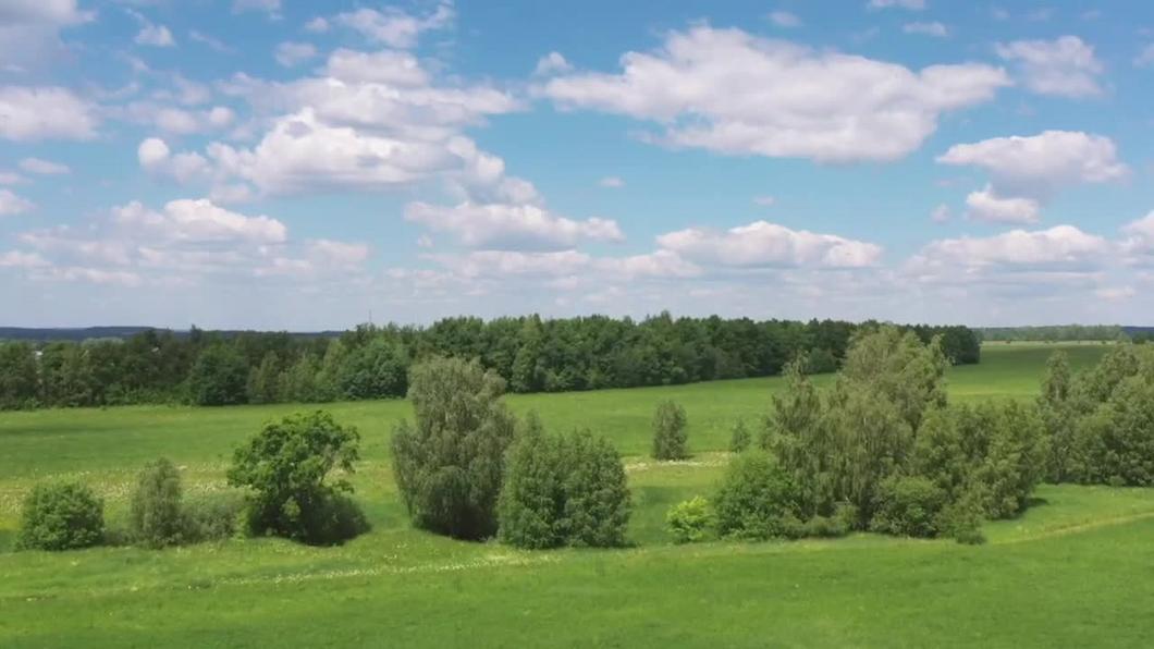 Рустам Минниханов выложил ролик с летними пейзажами Татарстана